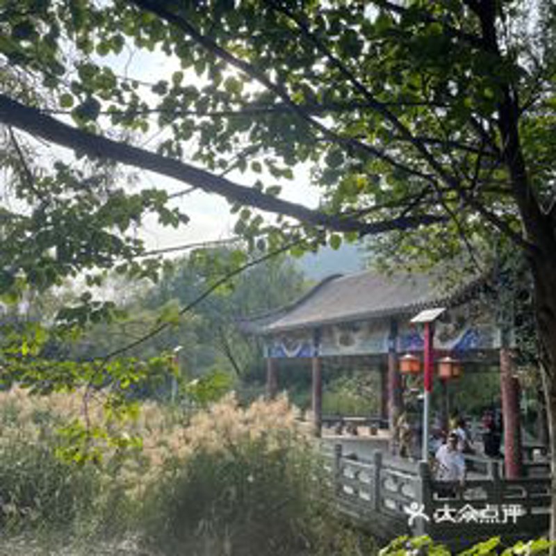 泰安旅游攻略：带你领略古国文化与自然风光