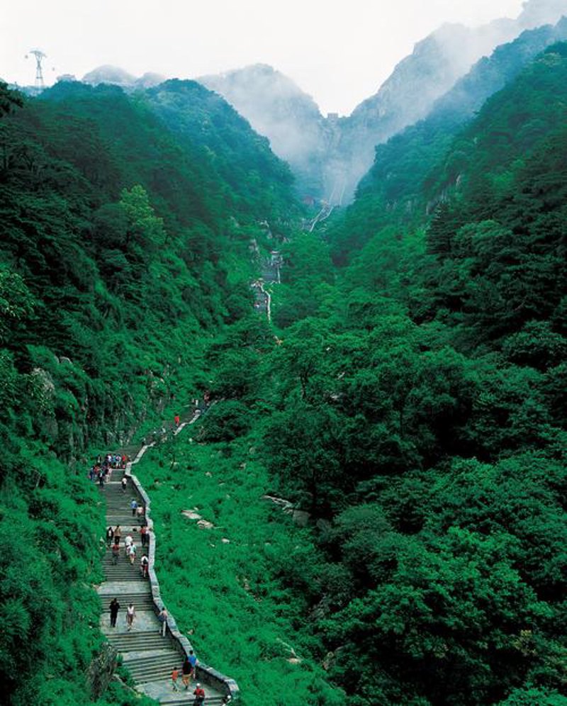 泰山跟团游：轻松玩遍风光无限